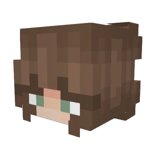 Jcvdv Minecraft avatar head, 3D render