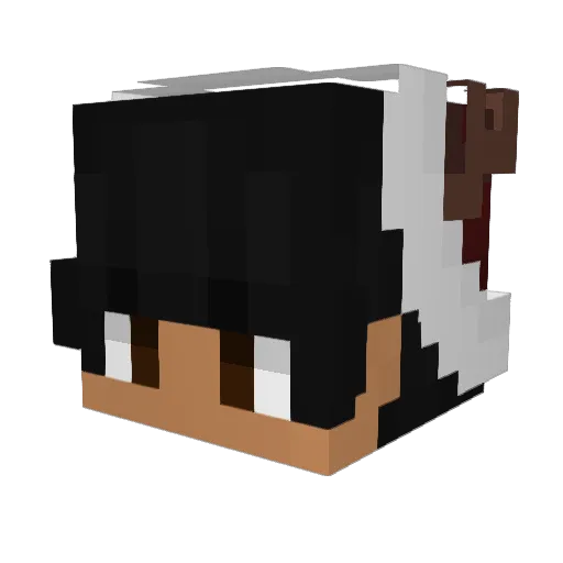 Jdan1307 Minecraft avatar head, 3D render