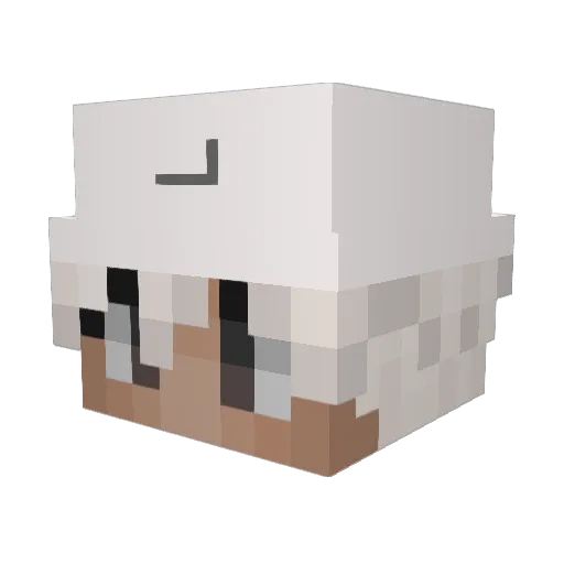 Jdblanco10 Minecraft avatar head, 3D render