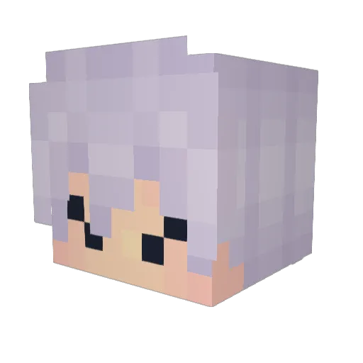 Jden_15 Minecraft avatar head, 3D render