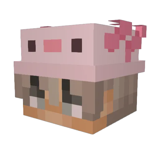 Jdn5 Minecraft avatar head, 3D render