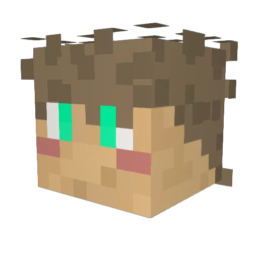 Jdog_jr Minecraft avatar head, 3D render
