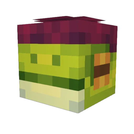 Jdogg2123 Minecraft avatar head, 3D render