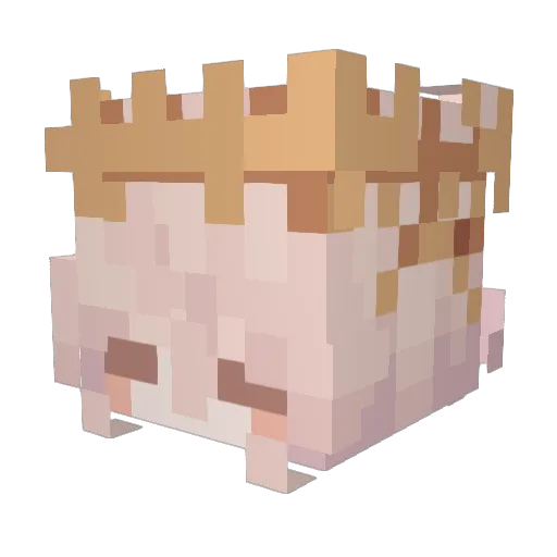 Je0lmang Minecraft avatar head, 3D render