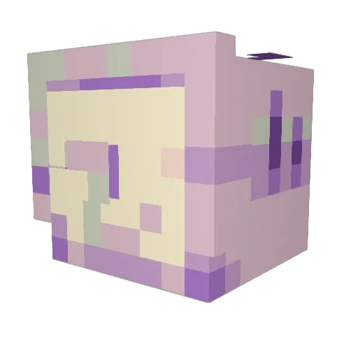 Je11yfishy Minecraft avatar head, 3D render