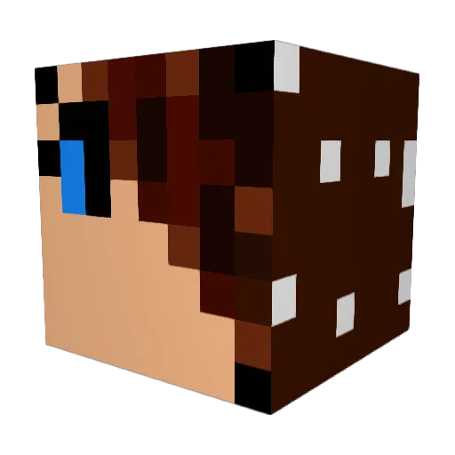 Je55ic4 Minecraft avatar head, 3D render