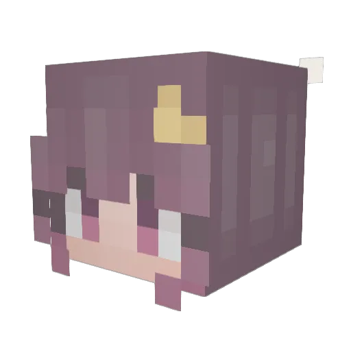 JeKaleVader420 Minecraft avatar head, 3D render