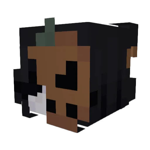 JeKami Minecraft avatar head, 3D render