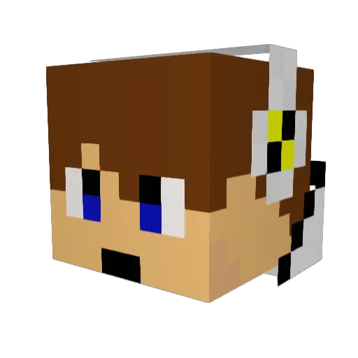JeRwiiN Minecraft avatar head, 3D render