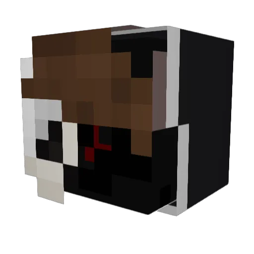 JeSuisChill_ Minecraft avatar head, 3D render