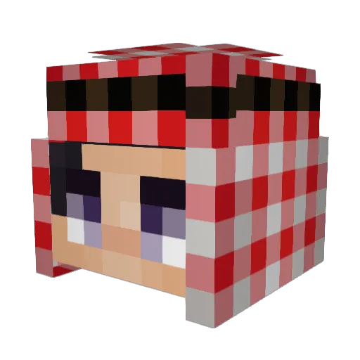 JeSuisLatir Minecraft avatar head, 3D render
