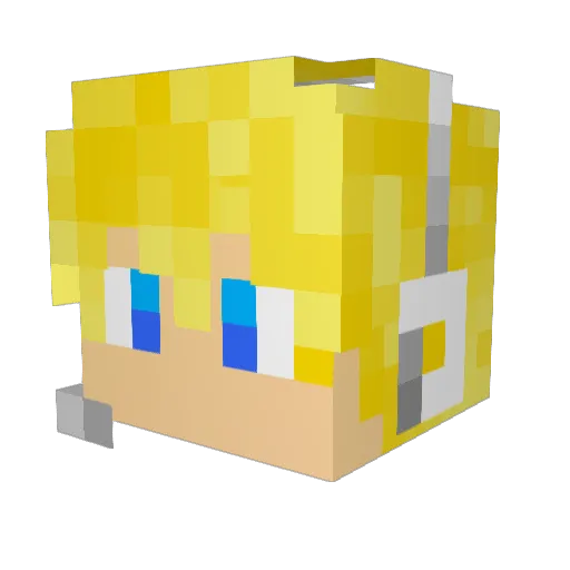 Je_Evn Minecraft avatar head, 3D render