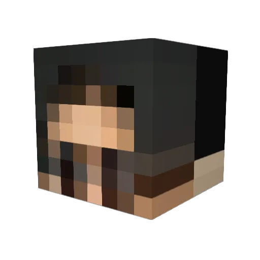 Je_STREAMHAK_PAS Minecraft avatar head, 3D render