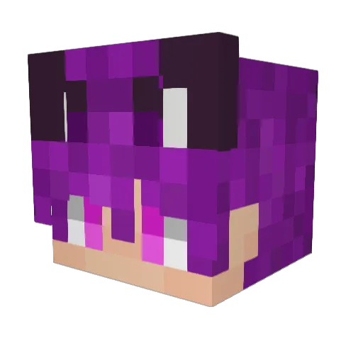 Jeadenn_ Minecraft avatar head, 3D render