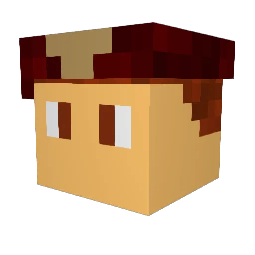 JealousyDepends Minecraft avatar head, 3D render