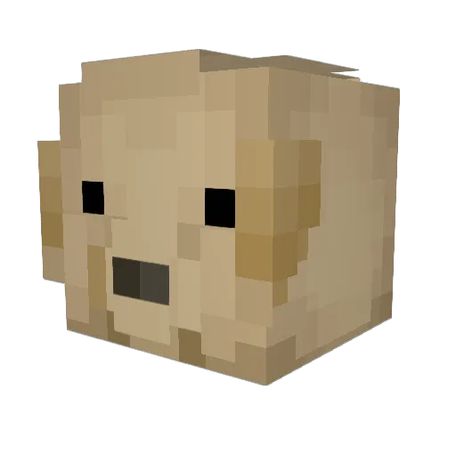 JeampieRD Minecraft avatar head, 3D render