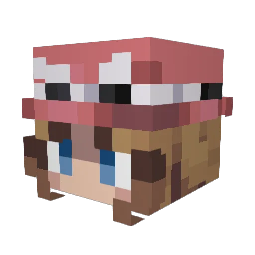 Jeamy1303 Minecraft avatar head, 3D render