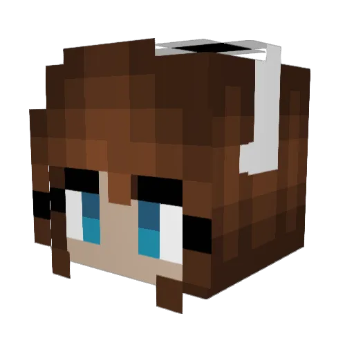 JeanneBeanne Minecraft avatar head, 3D render