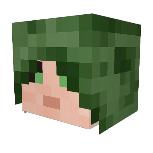 Jearmy3388 Minecraft avatar head, 3D render