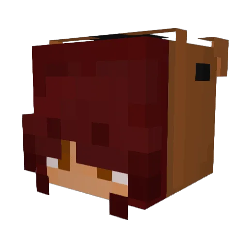Jebikkoch Minecraft avatar head, 3D render