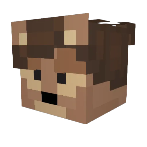 Jeborbus Minecraft avatar head, 3D render