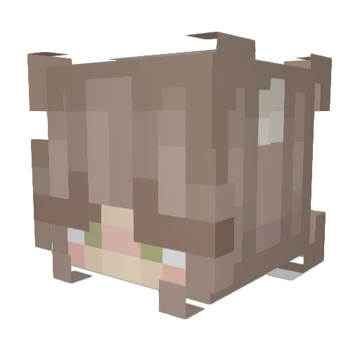 JeccaRejoice Minecraft avatar head, 3D render