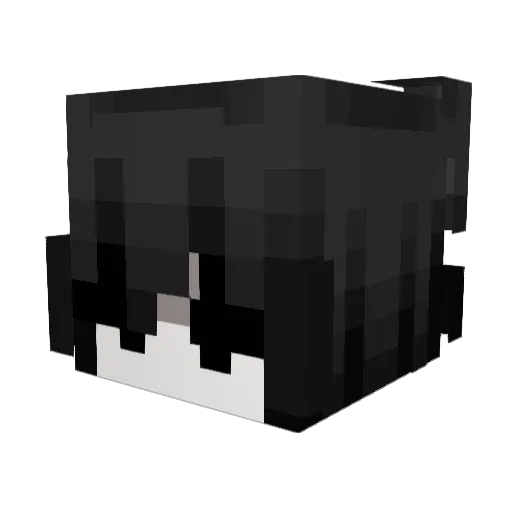 Jed00 Minecraft avatar head, 3D render
