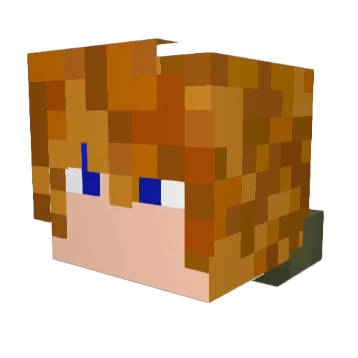 Jedax16 Minecraft avatar head, 3D render