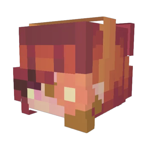 Jeddfarm Minecraft avatar head, 3D render