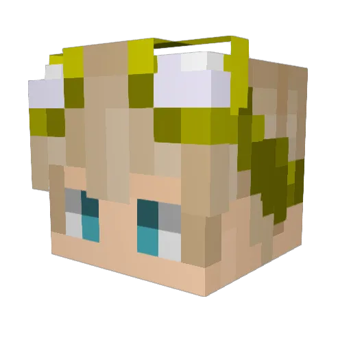 JeddyZero Minecraft avatar head, 3D render
