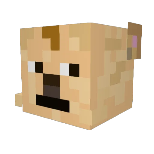 JedePasta Minecraft avatar head, 3D render
