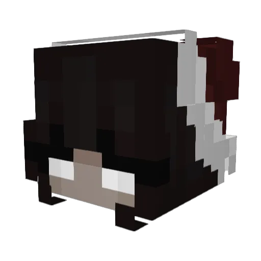 JediDropBear Minecraft avatar head, 3D render