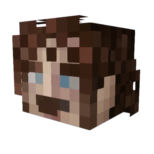 JediMaestro Minecraft avatar head, 3D render