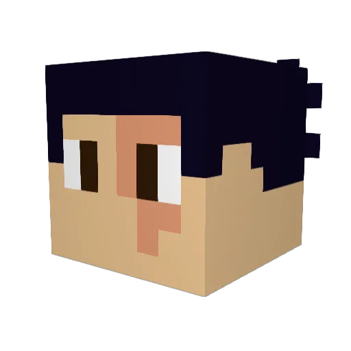 JediObama Minecraft avatar head, 3D render