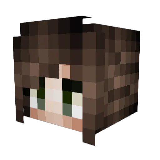 JediPhone Minecraft avatar head, 3D render