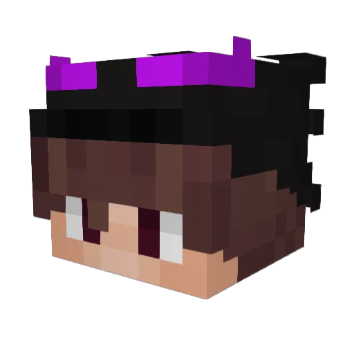 Jediboy99 Minecraft avatar head, 3D render