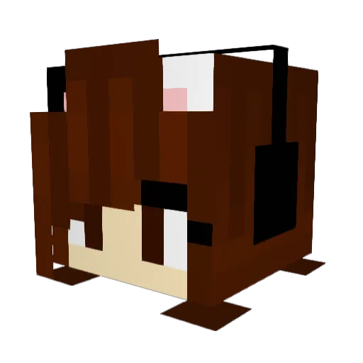 JedikaPrime Minecraft avatar head, 3D render