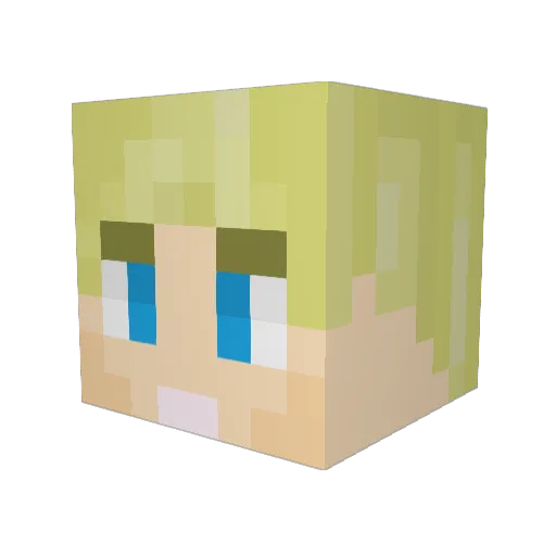JedimasterCat13 Minecraft avatar head, 3D render