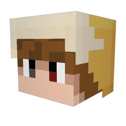 JednoFinske Minecraft avatar head, 3D render