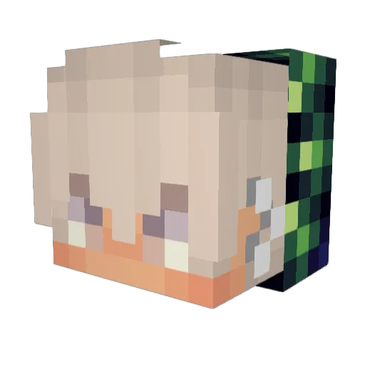 JeeRobin18 Minecraft avatar head, 3D render