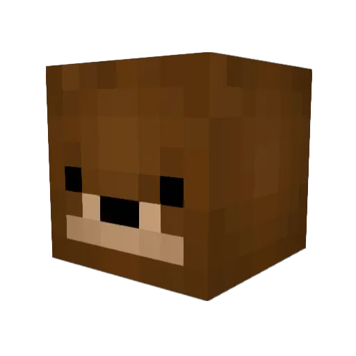JeebaPlaysMC Minecraft avatar head, 3D render