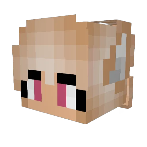 Jeebis Minecraft avatar head, 3D render
