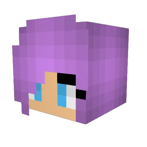 Jeehenbi Minecraft avatar head, 3D render