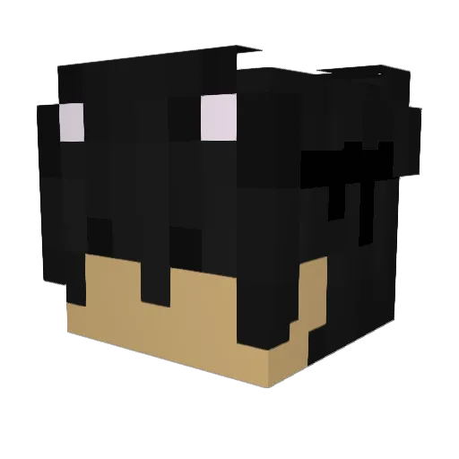 Minecraft-Avatar von JeepCherokee: Kopf als 3D-Render