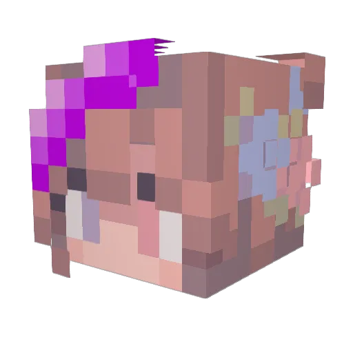 JeeperCreepers27 Minecraft avatar head, 3D render