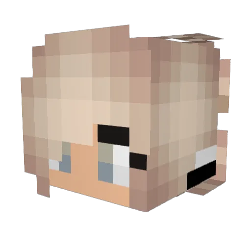 Jeepters Minecraft avatar head, 3D render