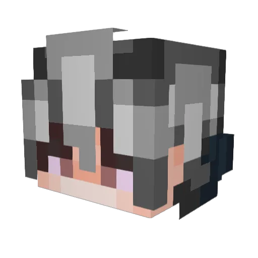 Jeespa Minecraft avatar head, 3D render