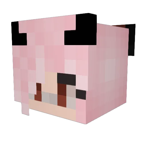 Jeff1474 Minecraft avatar head, 3D render