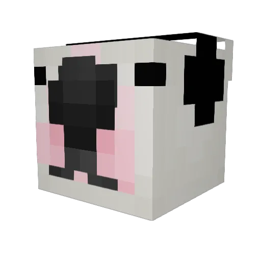 JeffFoxworthys Minecraft avatar head, 3D render