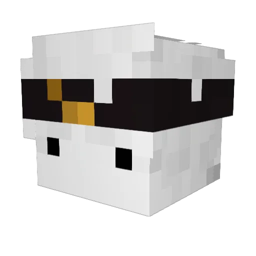 JeffJustJeff_ Minecraft avatar head, 3D render